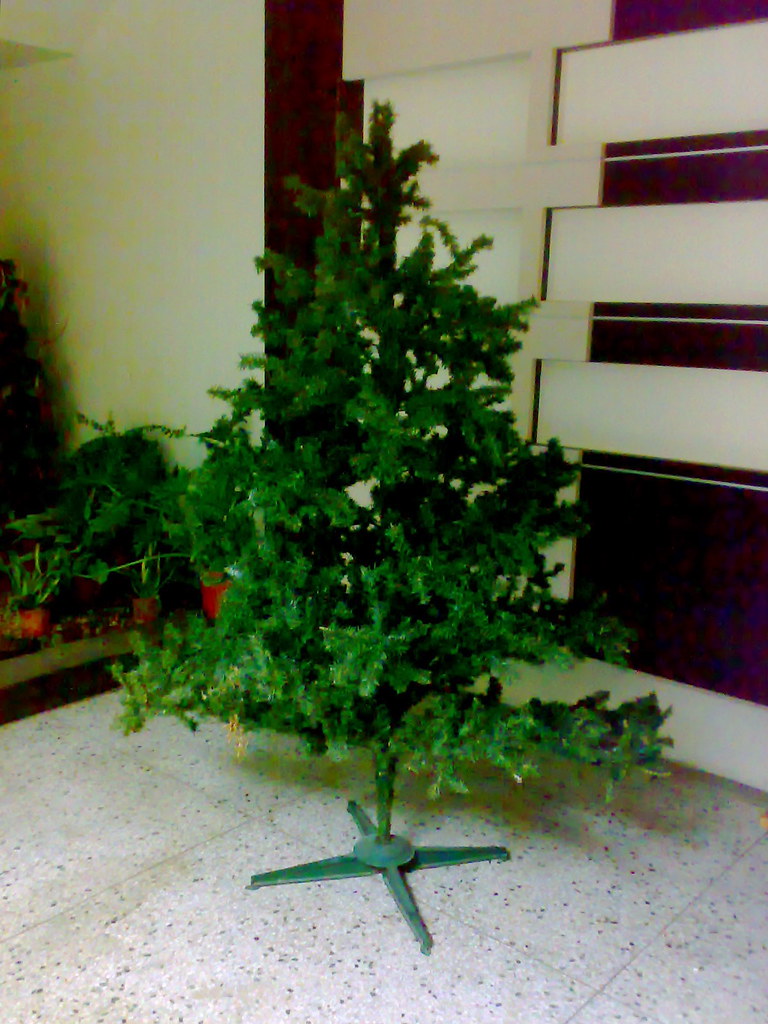 很寂寞的聖誕樹